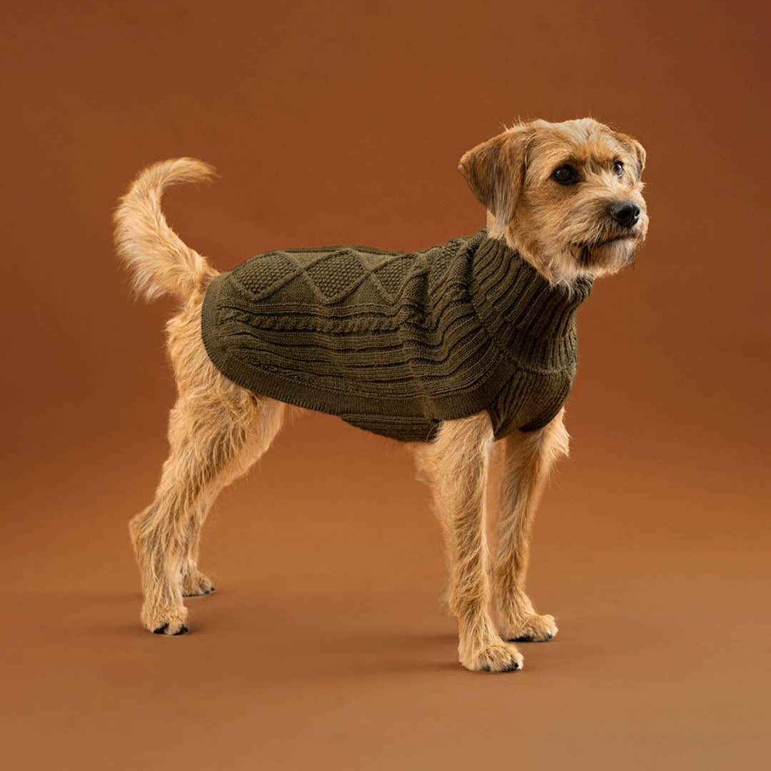 Alqo Wasi - Alqo Wasi Aran-Strick Alpaka-Hundepullover: XS / Forest Green - OSSO BLU