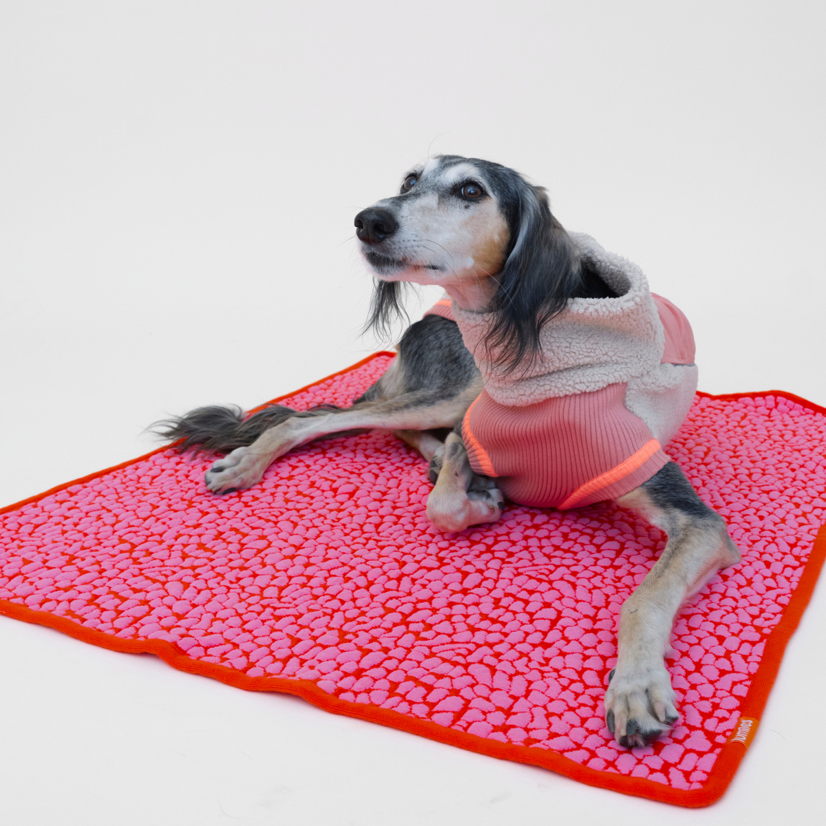 LUMIIES - THE STUDIO BLANKET – Ultraweiche Hundedecke | Pink Lava