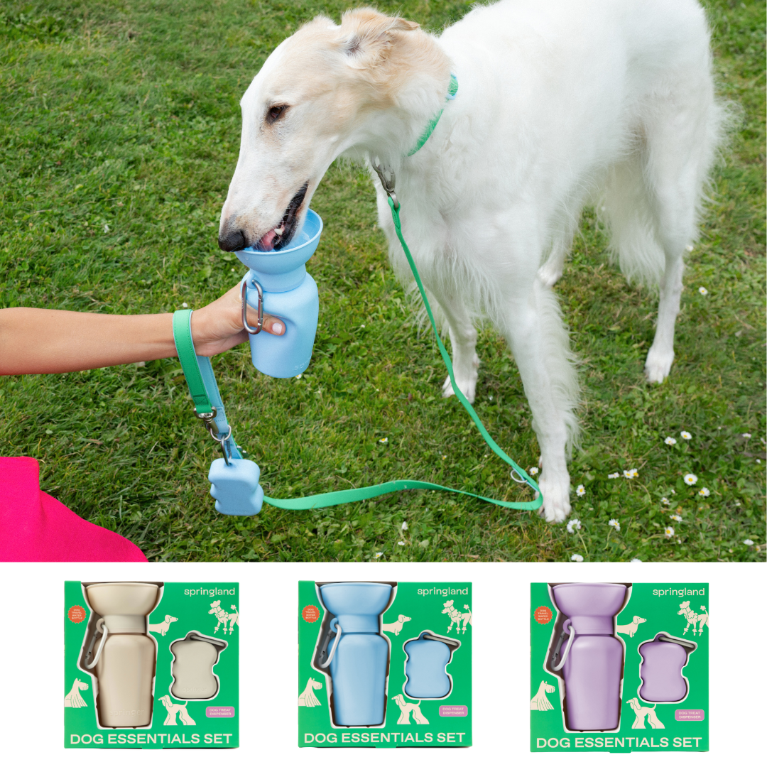 SPRINGLAND PETS - Set regalo per cani