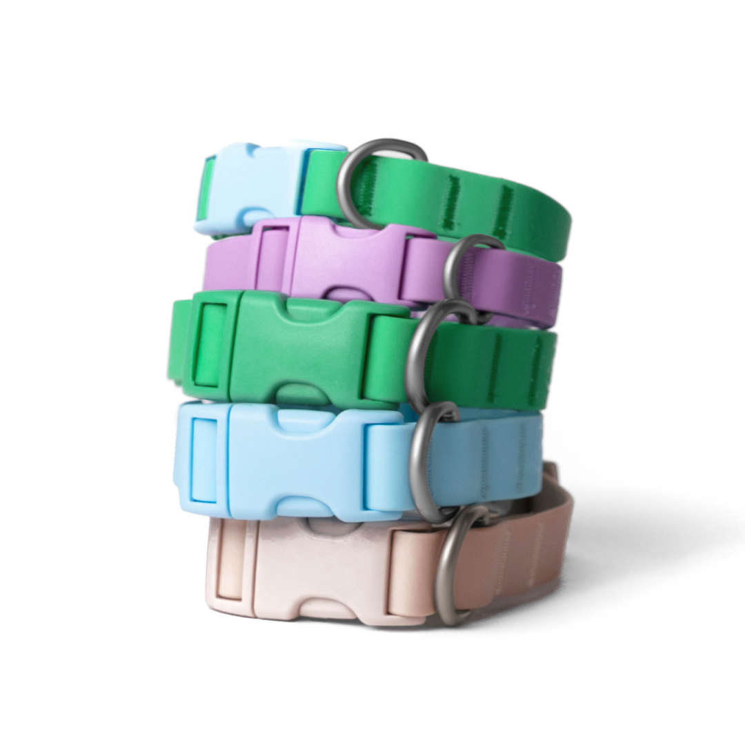 SPRINGLAND PETS - Collare per cani impermeabile e regolabile