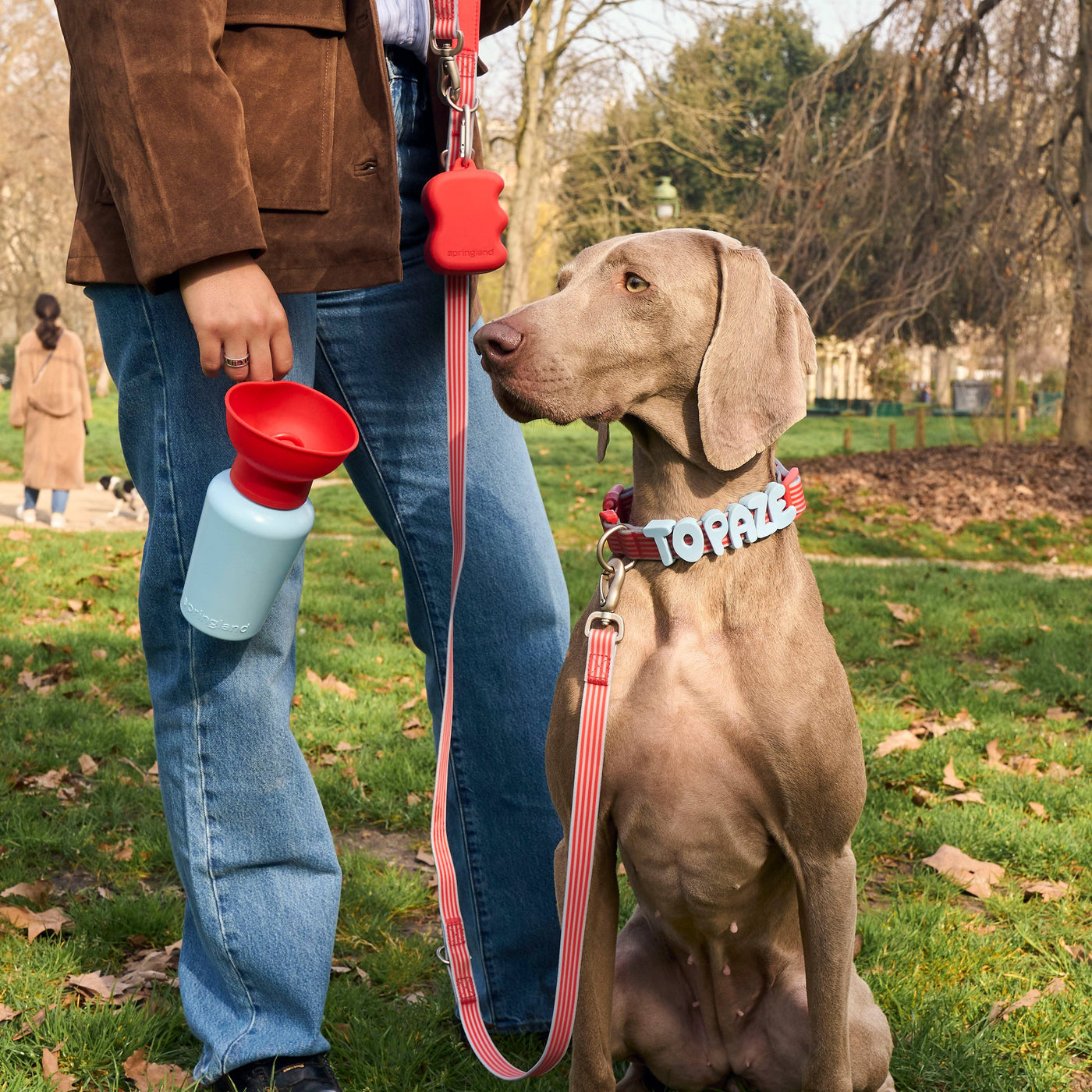 SPRINGLAND PETS - Edizione Limitata - Collare per cani "Bisou"