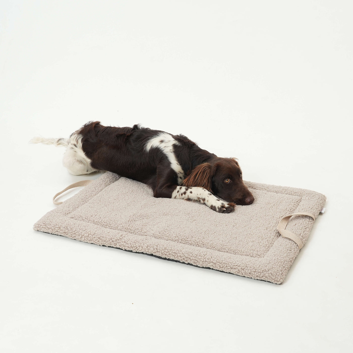 DOGS IN THE CITY® - Tappetino da viaggio Matti – Gravel
