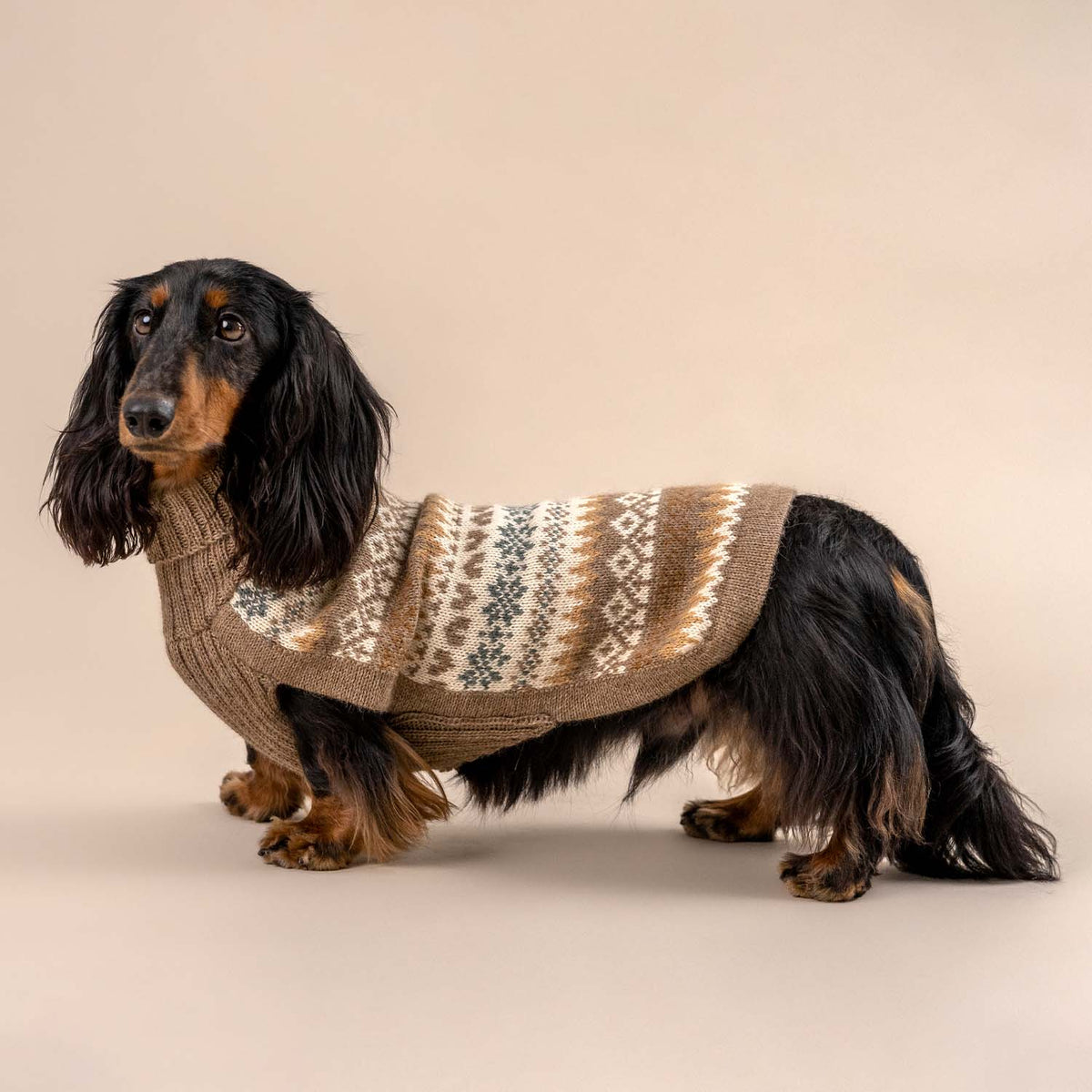 Alqo Wasi - Herbst-Medley Alpaka-Hundepullover: Brown / XS - OSSO BLU