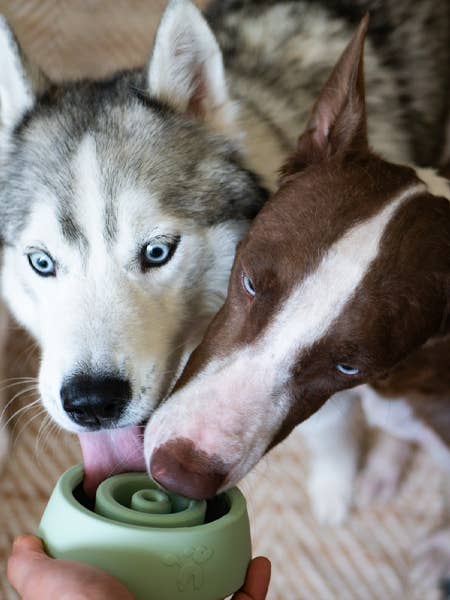 INOOKO - Yoomy Wobble - Beschäftigungsspielzeug für Hunde - Salbei