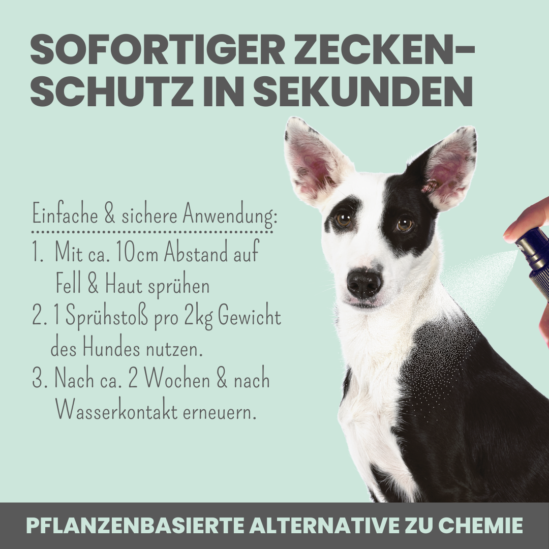 NOMS+ - Zeckenspray für Hunde – Natürlicher Schutz gegen Zecken, Flöhe, Milben & Mücken - OSSO BLU
