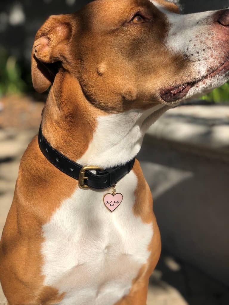 TWO TAILS PET COMPANY - Medaglietta identificativa per animali domestici Smiling Heart