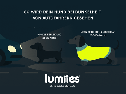 LUMIIES – Glow Raincoat Mini-Fit Hunderegenmantel Neonorange