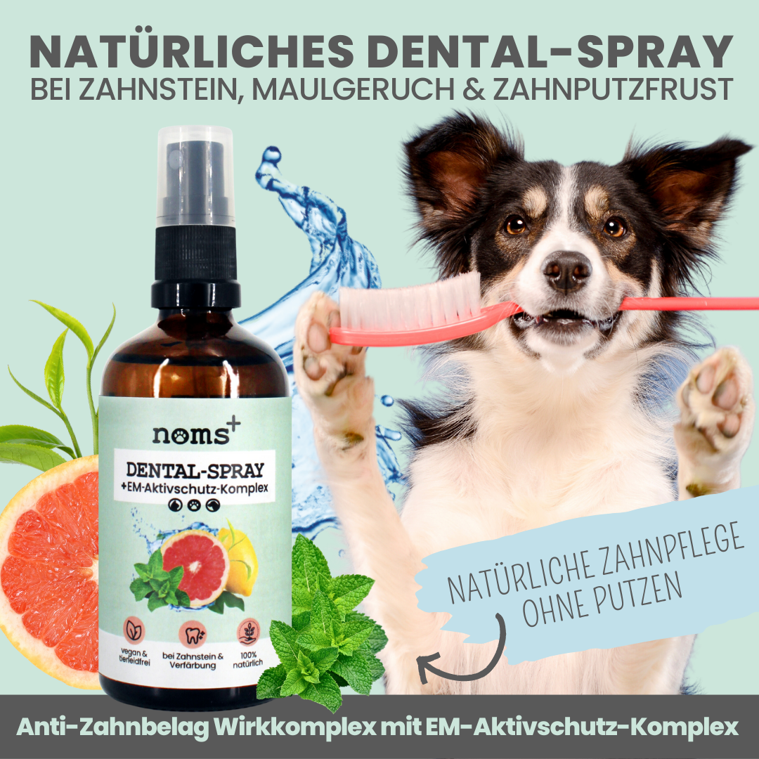 NOMS+ - Spray dentale per cani e gatti – Igiene orale naturale contro tartaro e alito cattivo