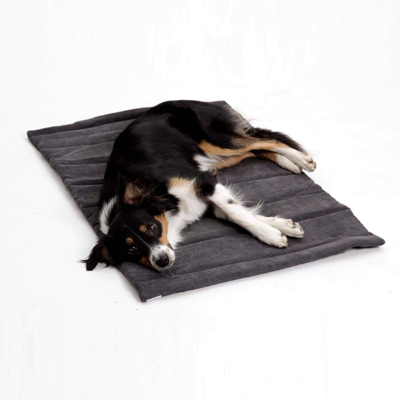 DOGS IN THE CITY® - Tappetino da viaggio / Cuccia da viaggio Madison – Grigio antracite