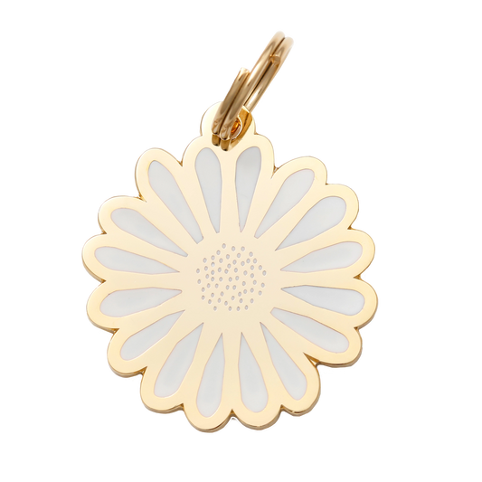 VORBESTELLUNG - Daisy Pet ID Tag - OSSO BLU