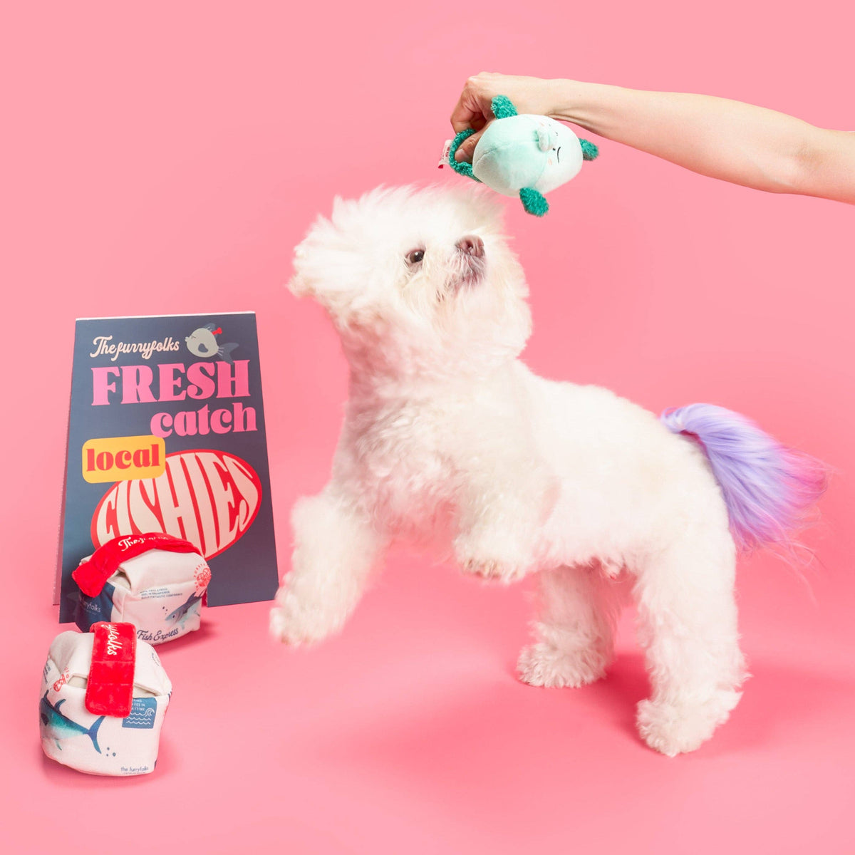 the furryfolks - Fisch Express Nasenarbeit Spielzeug - OSSO BLU