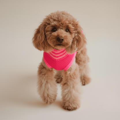 LUMIIES – Glow Jumper 2.0 Hundepullover Pink Parade