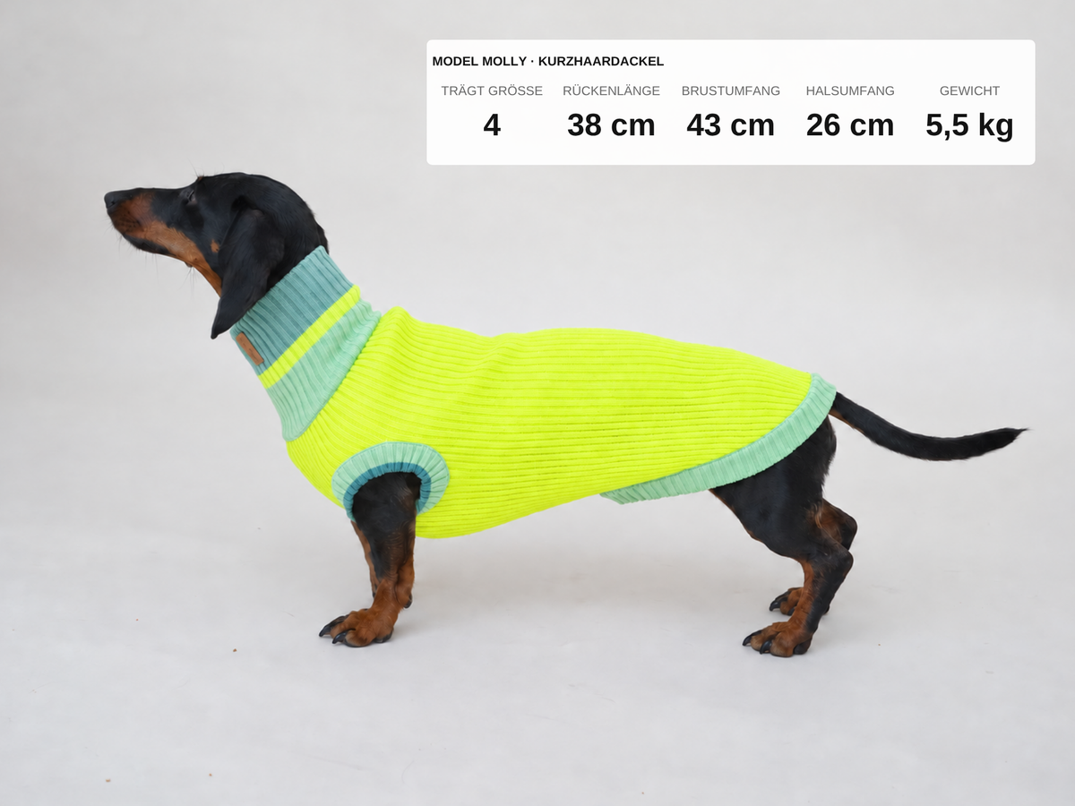 LUMIIES – Glow Jumper 2.0 Hundepullover Neon Matcha