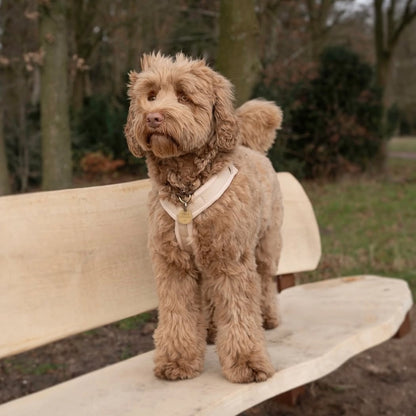 FURLOU – Comfort Hundegeschirr Tan - OSSO BLU