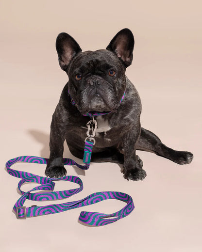HOT DOGGIES - Freihandleine „Lola Groove“ - OSSO BLU