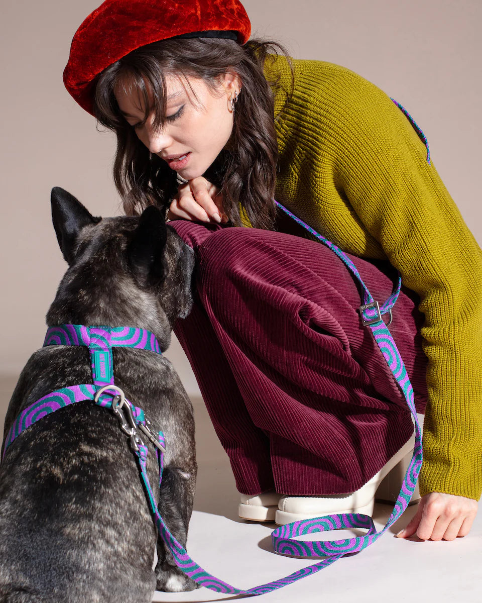 HOT DOGGIES - Freihandleine „Lola Groove“ - OSSO BLU