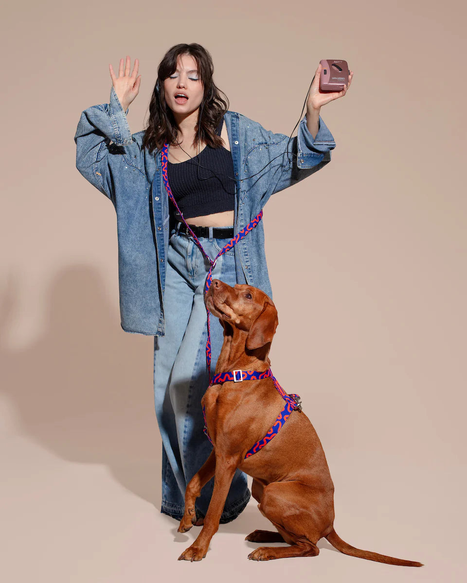 HOT DOGGIES - Freihandleine „Rocky Electric“ - OSSO BLU