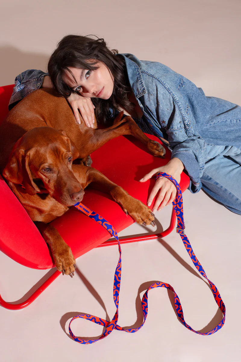 HOT DOGGIES - Freihandleine „Rocky Electric“ - OSSO BLU