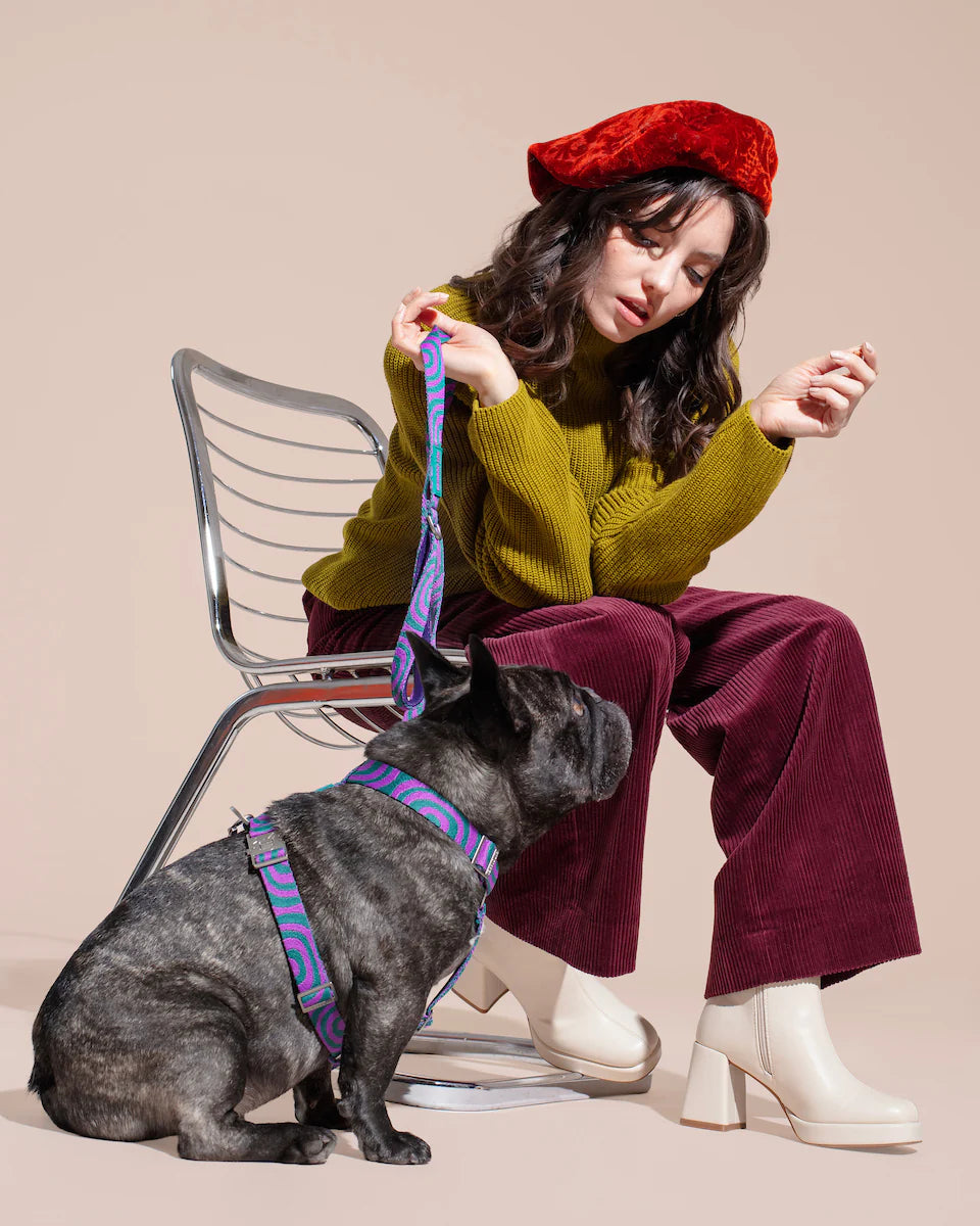 HOT DOGGIES - Geschirr „Lola Groove“ - OSSO BLU