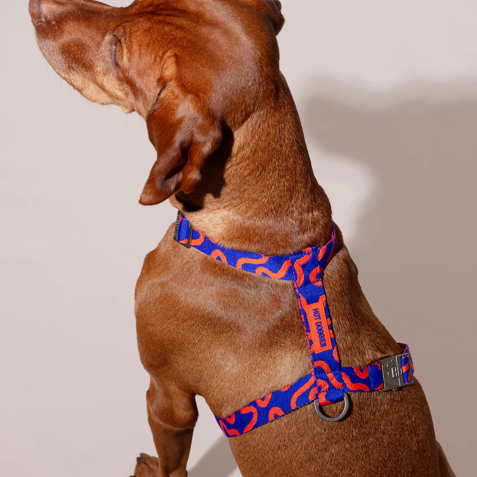 HOT DOGGIES - Imbrago "Rocky Electric"