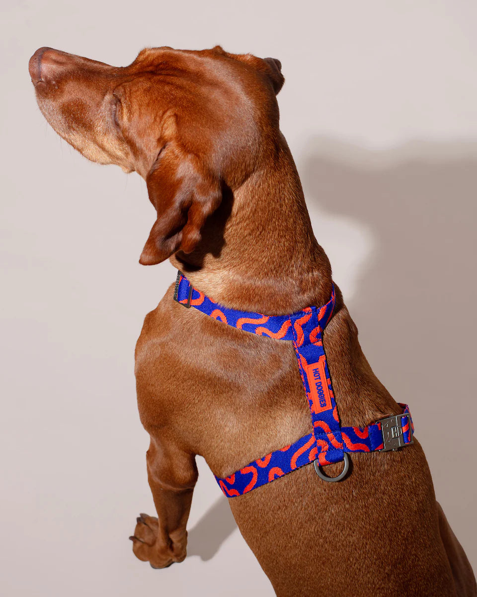 HOT DOGGIES - Geschirr „Rocky Electric“ - OSSO BLU