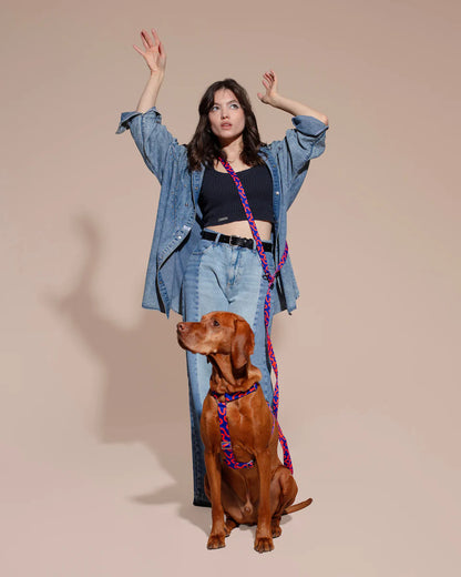 HOT DOGGIES - Geschirr „Rocky Electric“ - OSSO BLU
