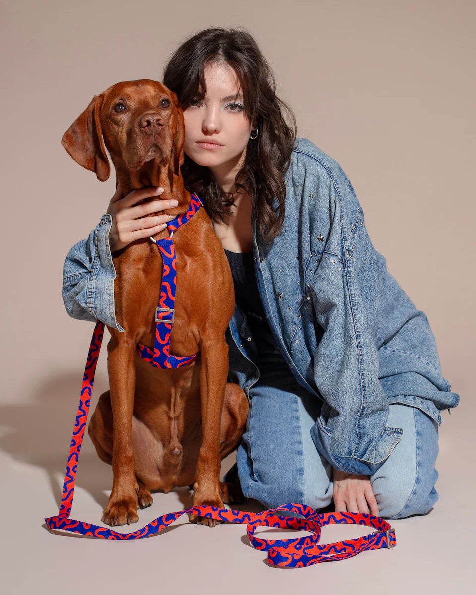 HOT DOGGIES - Geschirr „Rocky Electric“ - OSSO BLU