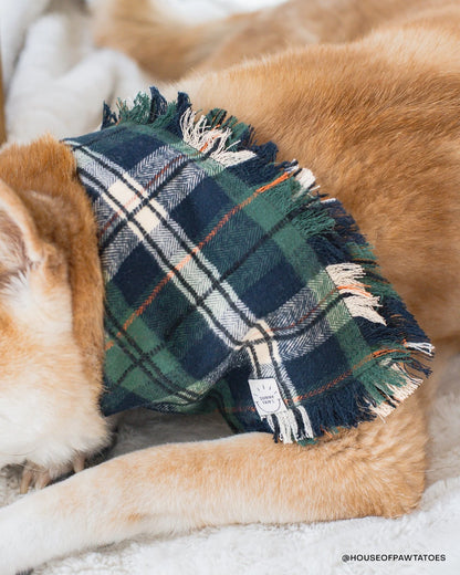SUNNY TAILS – Frayed Dog Bandana – Evergreen Plaid