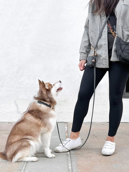 SUNNY TAILS – Kotbeutelspender Ember Black