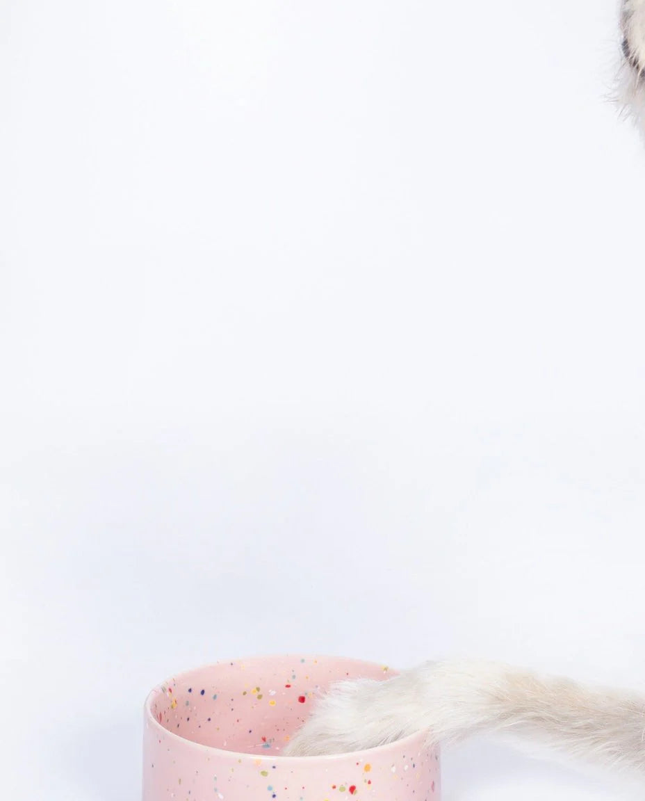 EGG BACK HOME – Nuove ciotole per cani (set da 2, rosa)