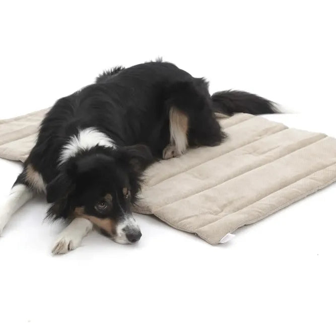 DOGS IN THE CITY® - Tappetino/cuccia da viaggio Madison – Gravel