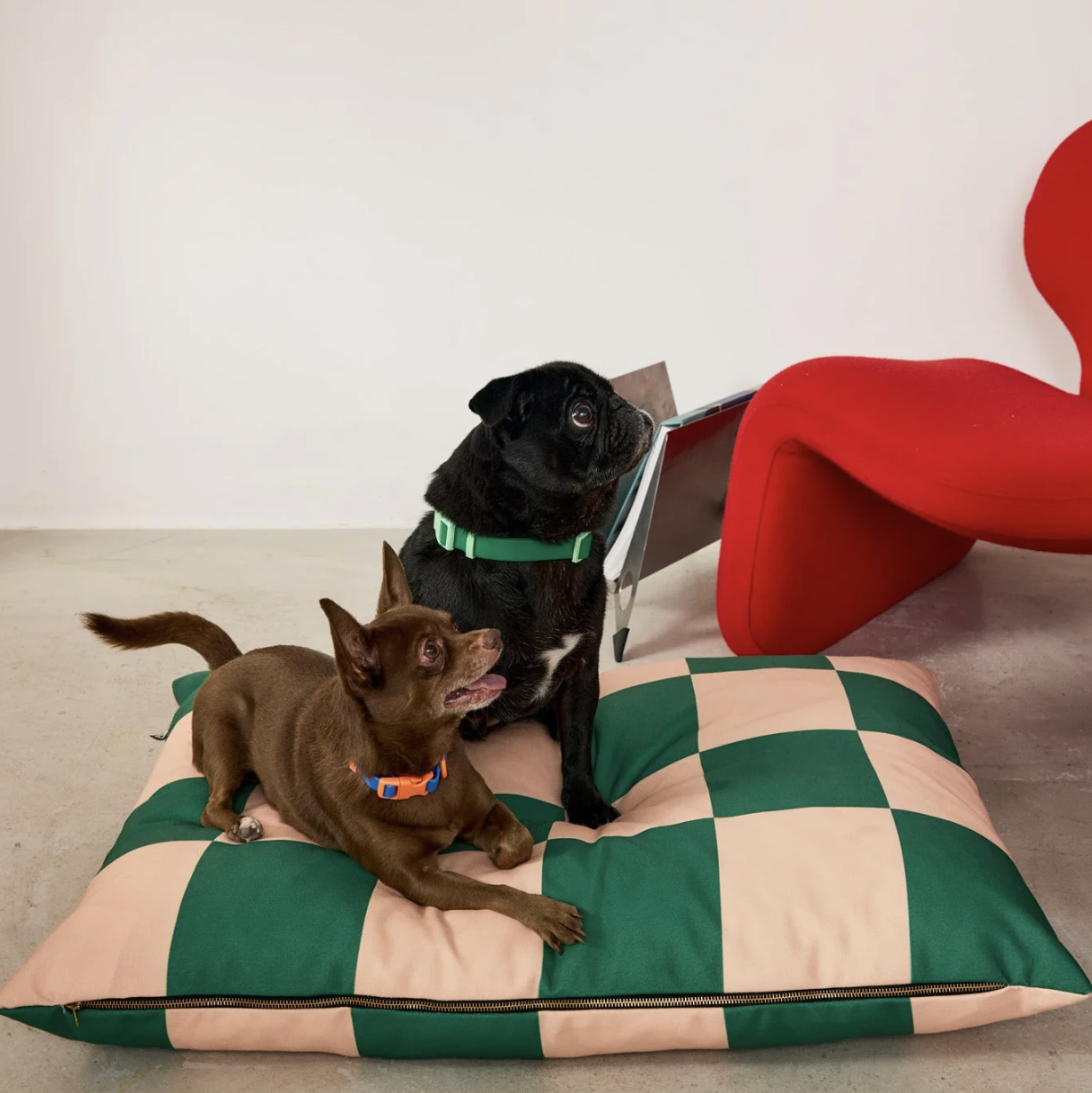 APPROVATO DA FRITZ – Cuccia per cani a quadri verdi