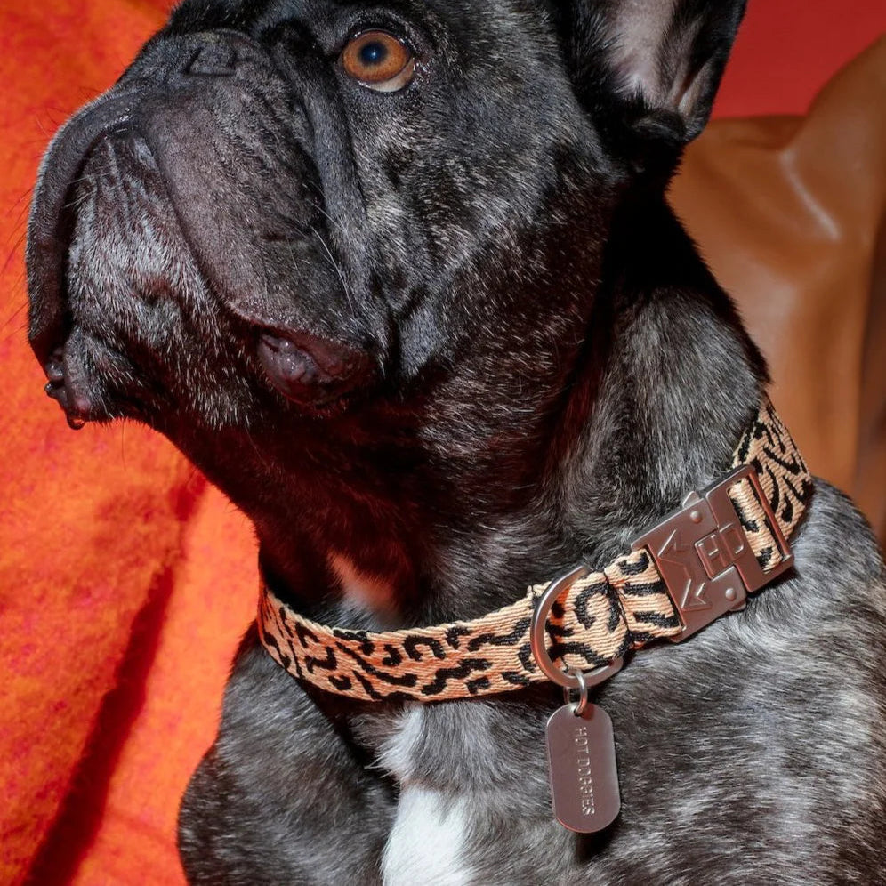 HOT DOGGIES - Collare "Coco Noir"