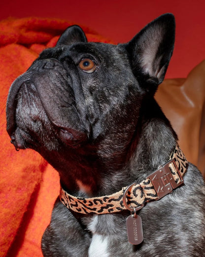 HOT DOGGIES - Halsband „Coco Noir“ - OSSO BLU
