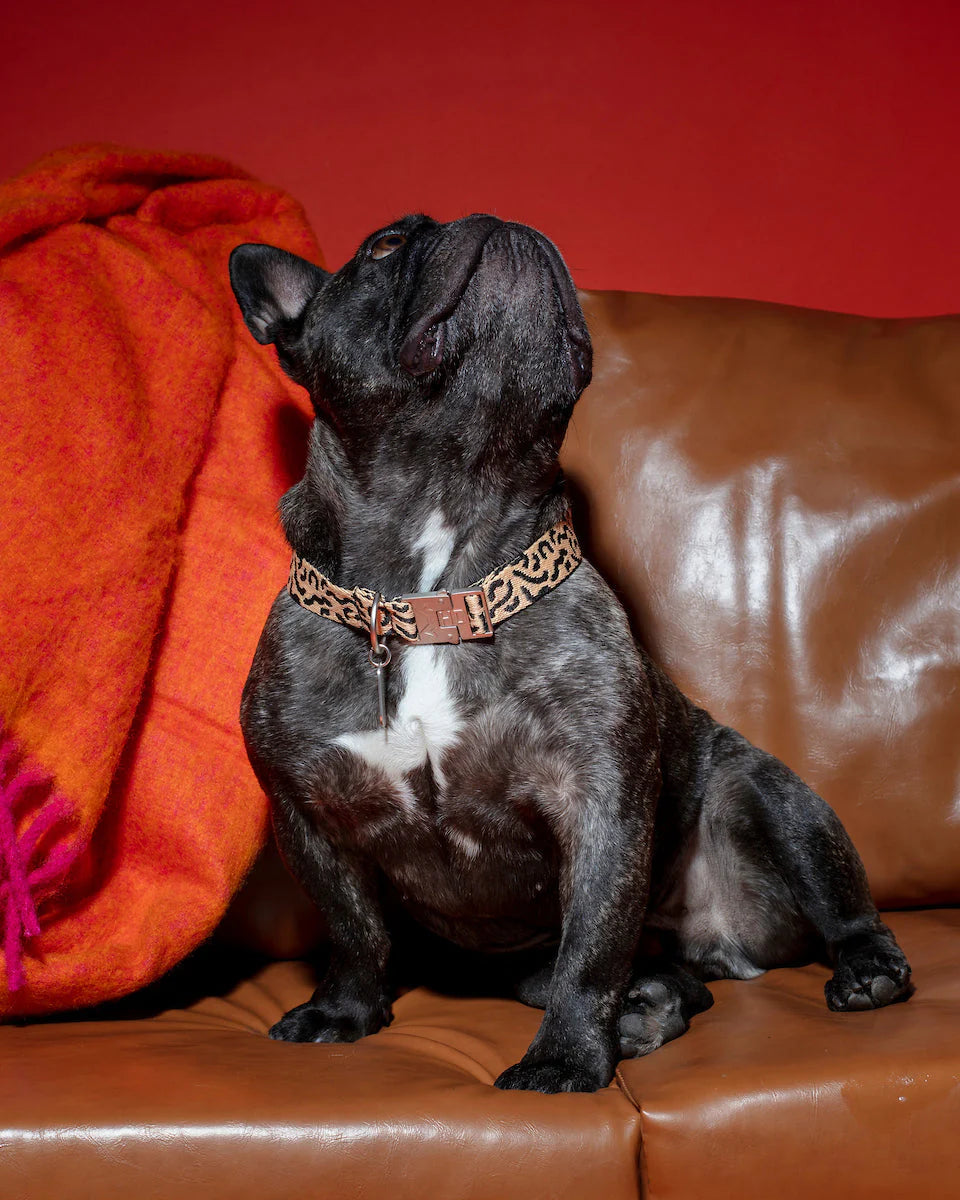 HOT DOGGIES - Halsband „Coco Noir“ - OSSO BLU