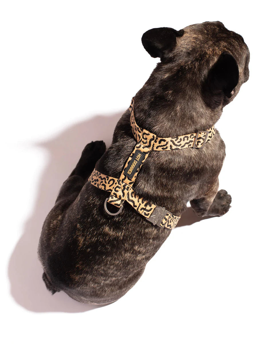 HOT DOGGIES - Geschirr „Coco Noir“ - OSSO BLU